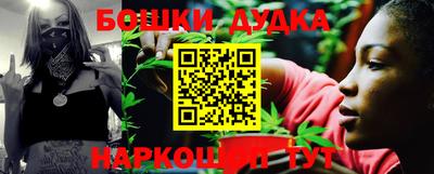 гидра Лесосибирск