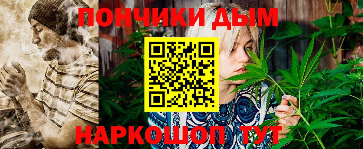 Бошки марихуана марихуана Черногорск